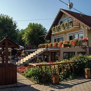 Couette-café Sarokhaz Panzio